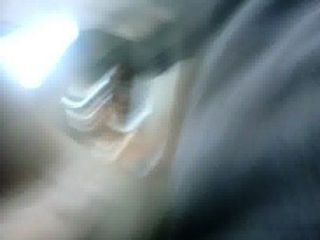 bus dick flash