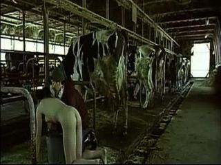 cow milk