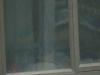 pregnant window