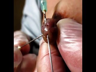 bdsm needle