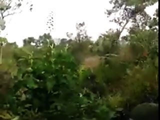 mistress t in public