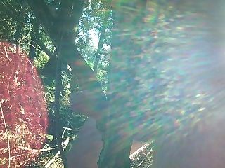 skater gay in the wood